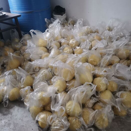 合江县合江珍笼袖，农户直销