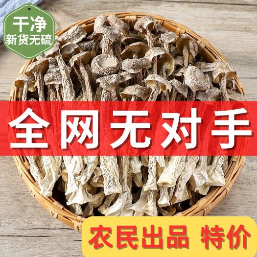 鹿茸菇干货批发鹿茸菌脆脆菇