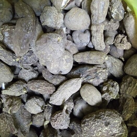 麻阳县中药金果榄