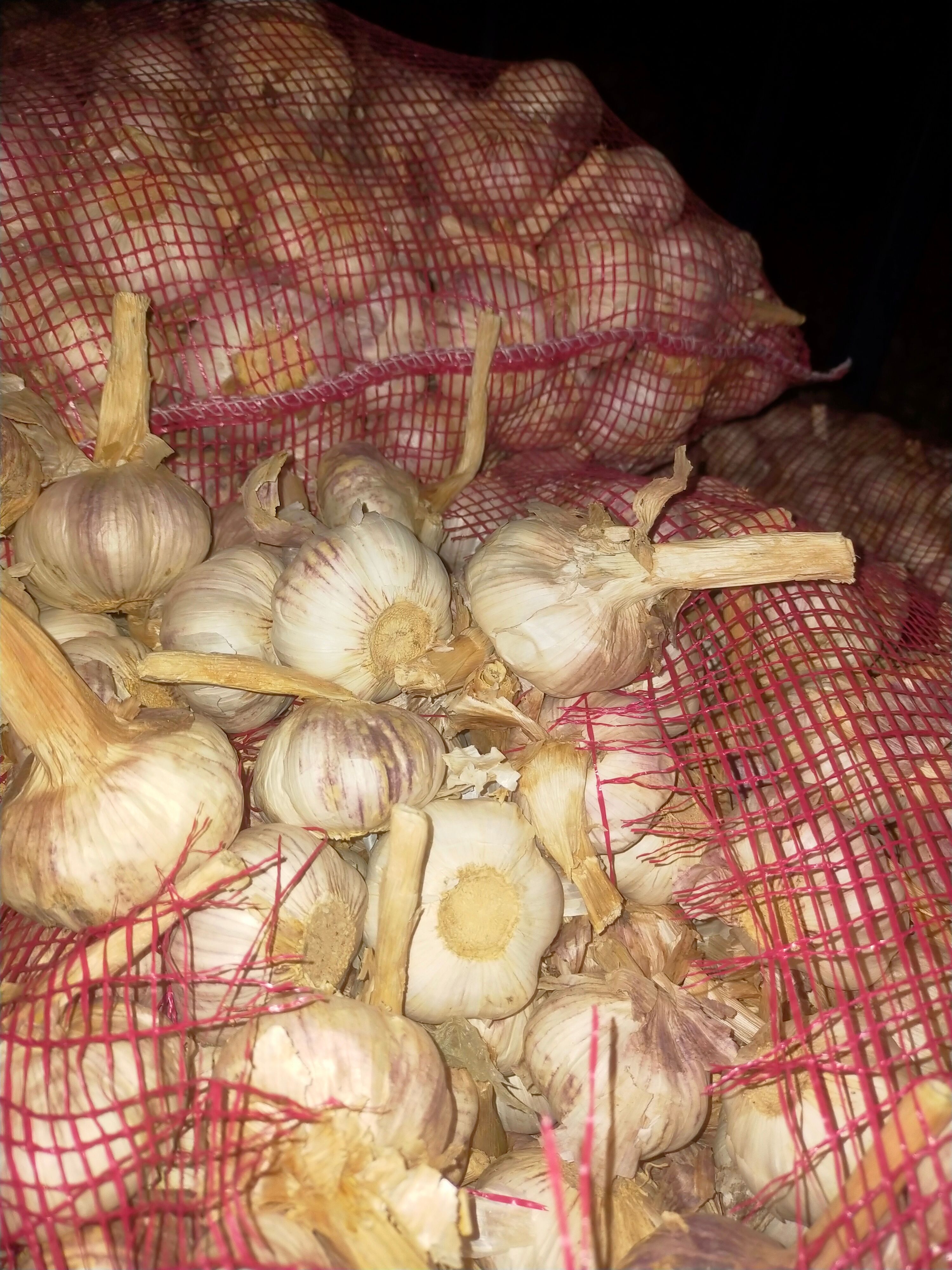 大蒜、金乡大蒜、山东大蒜