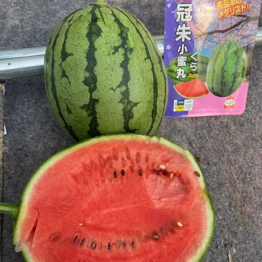 400粒冠朱小蜜丸礼品西瓜种子早熟瓤红汁多甜度高