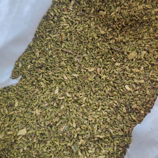 青州市纯度高，无掺杂，超干，今年新货，槐米。