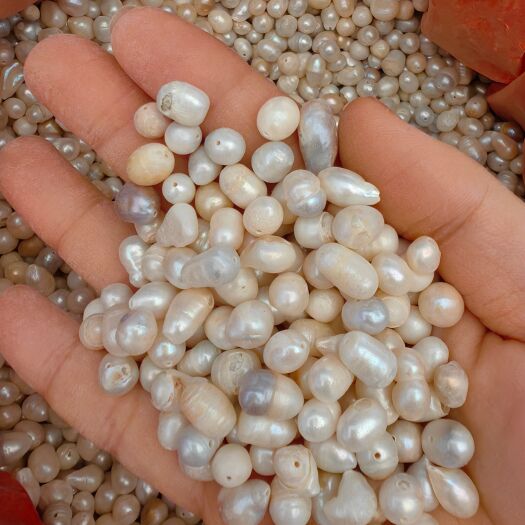 珍珠 批发珍珠颗粒整颗珍珠 规格齐全 矿石珍珠可磨粉零售