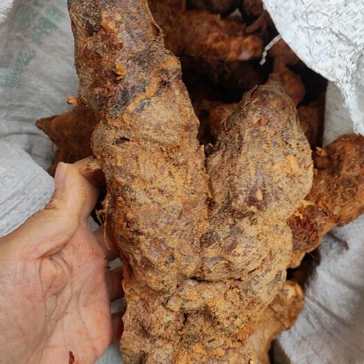 衡阳县土茯苓白肉