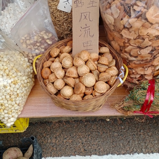 龙门县风流果