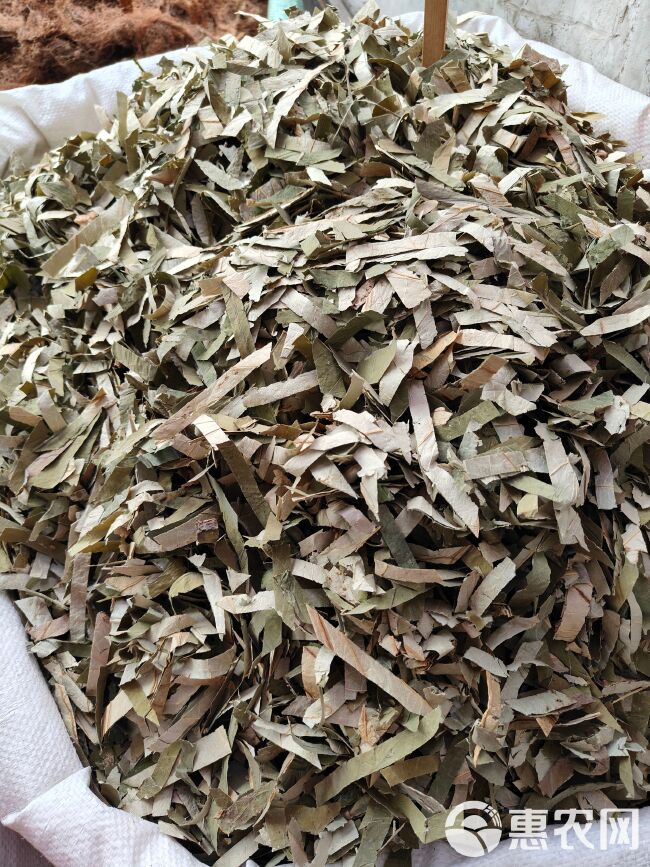 中草药干货荷叶茶荷叶别名莲花茎莲茎量大从优