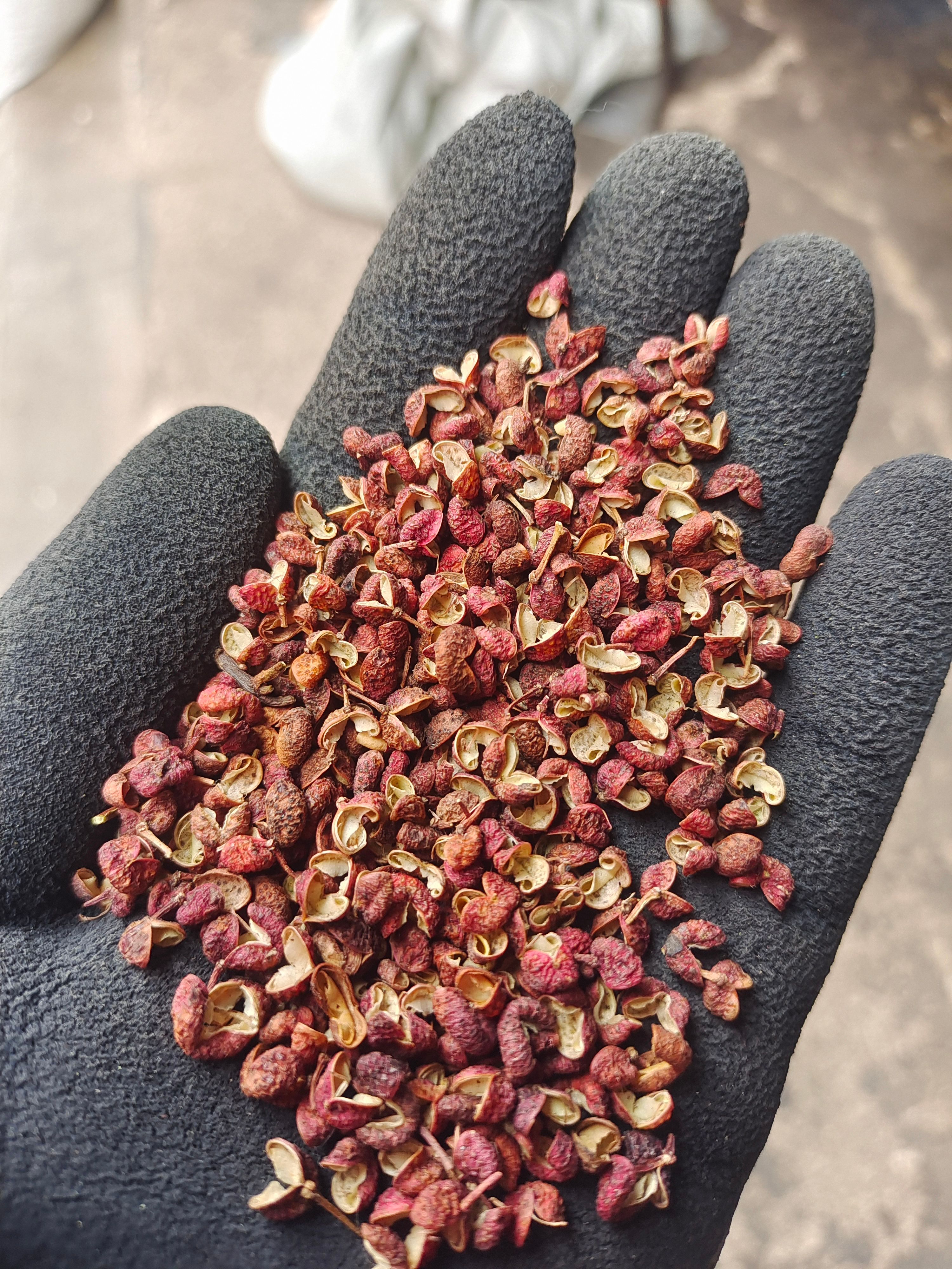 山东红花椒 干花椒足干单粒 新货袋装 产地直发 支持代发