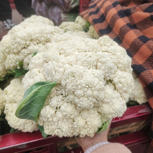 犍为县花菜散花松花菜
