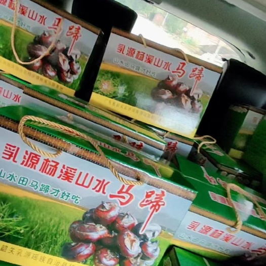 乳源县山水马蹄，皮薄个大，清甜爽口，多汁果脆，一箱十斤装起批不包邮