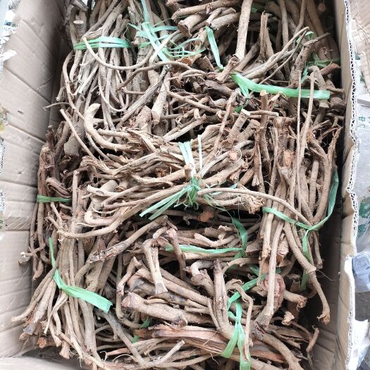南宁大叶千斤拔老根干货