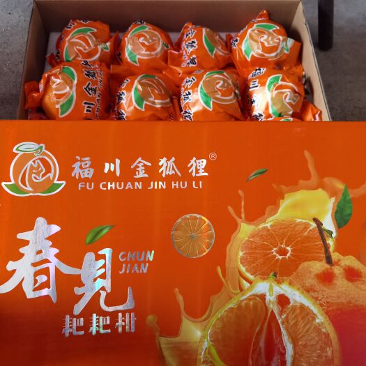 金华耙耙柑，颗粒饱满，皮薄肉厚，量大