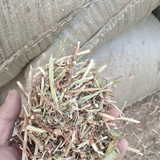 延津县秸秆饲料