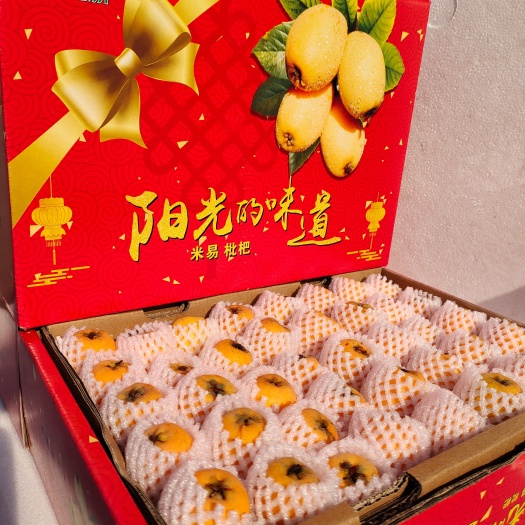 攀枝花攀枝花米易枇杷
