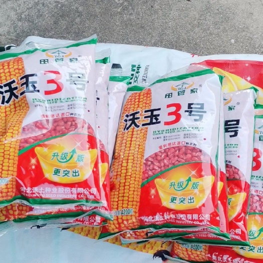 邹城市国审特大棒，活杆成熟。今年表现突出。