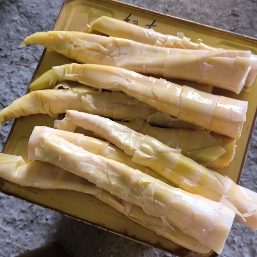 宁波工厂直销雷笋罐头。18L。净重22斤。
