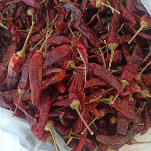 绥中县福建辣椒王干辣椒，熟食店不干了，还有70斤左右，需要的请联系
