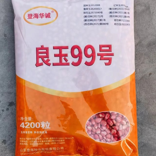清丰县良玉99