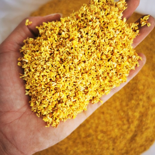 全州县2023新货桂林桂花干 桂花瓣  干桂花 桂花茶浓香色选精选