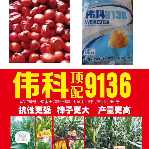 清丰县伟科9136