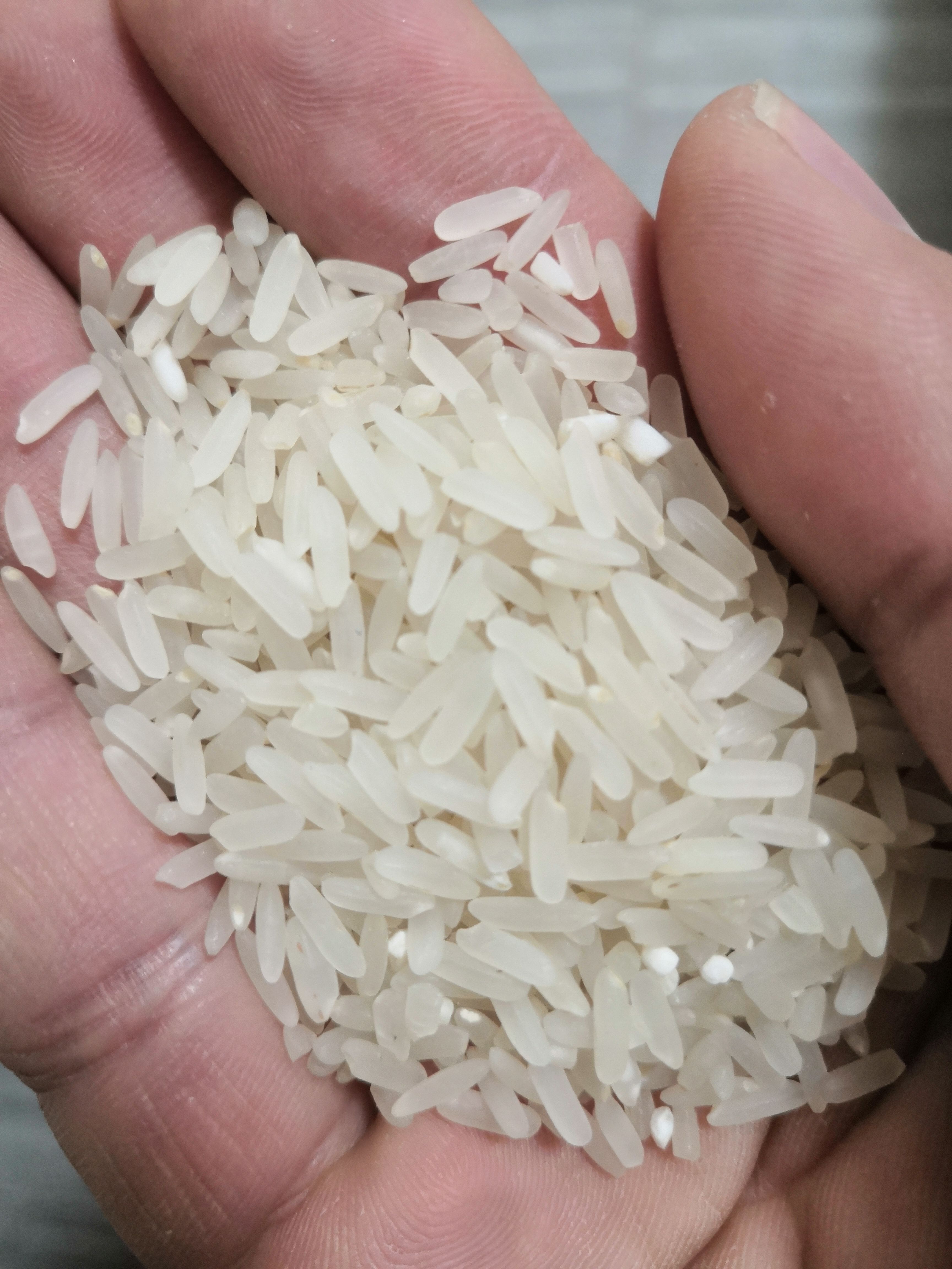 淮河边黄花粘青米鲜米新米长粒节前稻