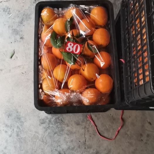 麻阳县纽荷尔脐橙，还有冰糖橙
