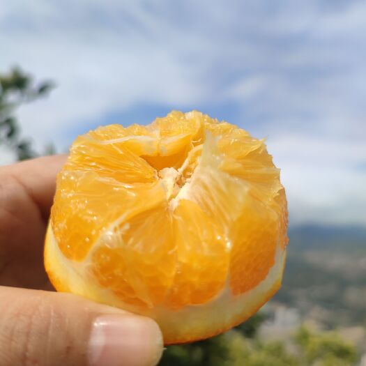 奉节奉节脐橙纽荷儿一件代发，柑橘产地直销多省包邮，不打蜡不催熟。