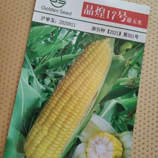 莱阳市晶煌17号水果甜玉米种子