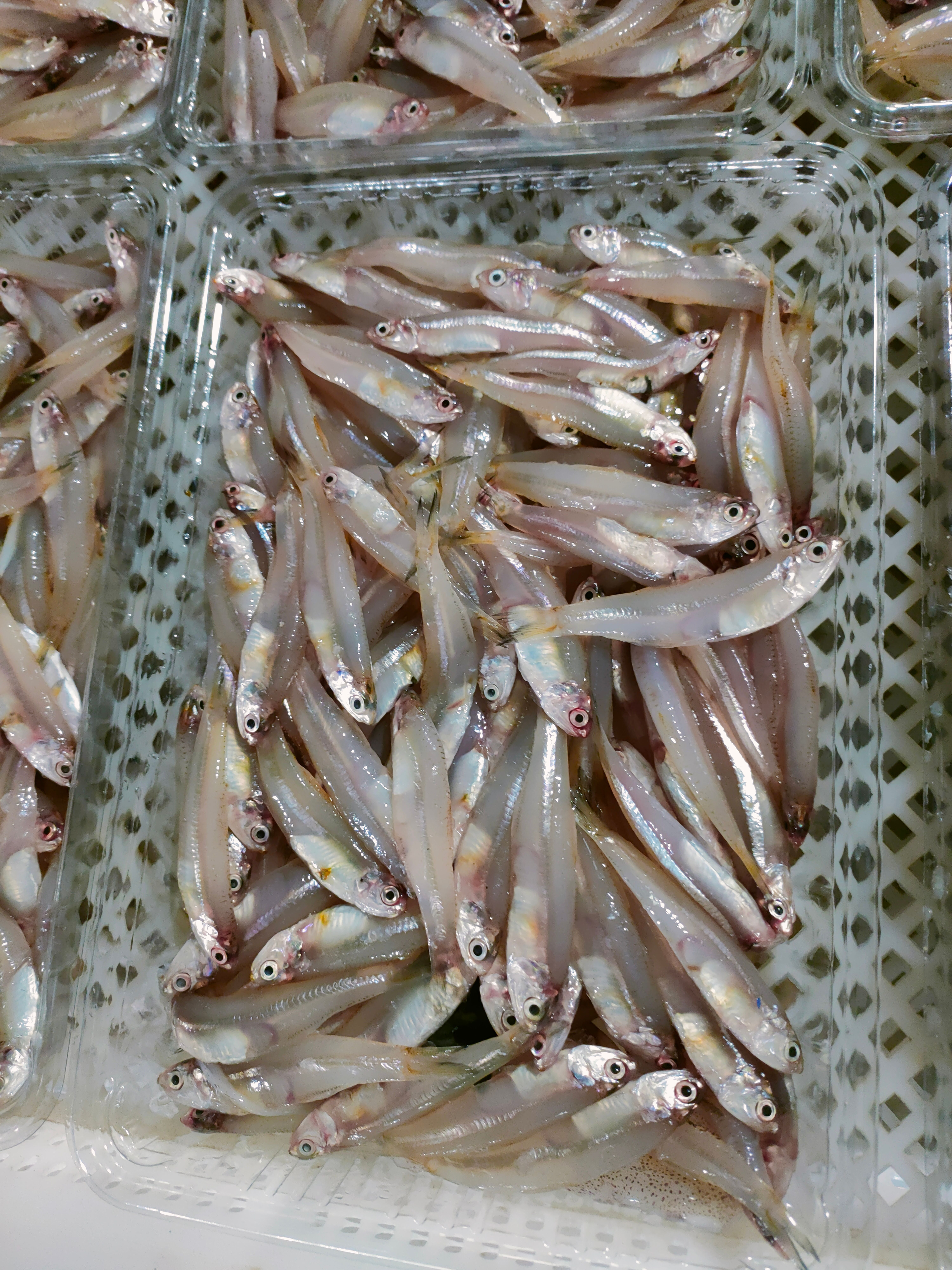 天然小海鱼、无鳞无皮一斤真空包装、适合各位餐饮