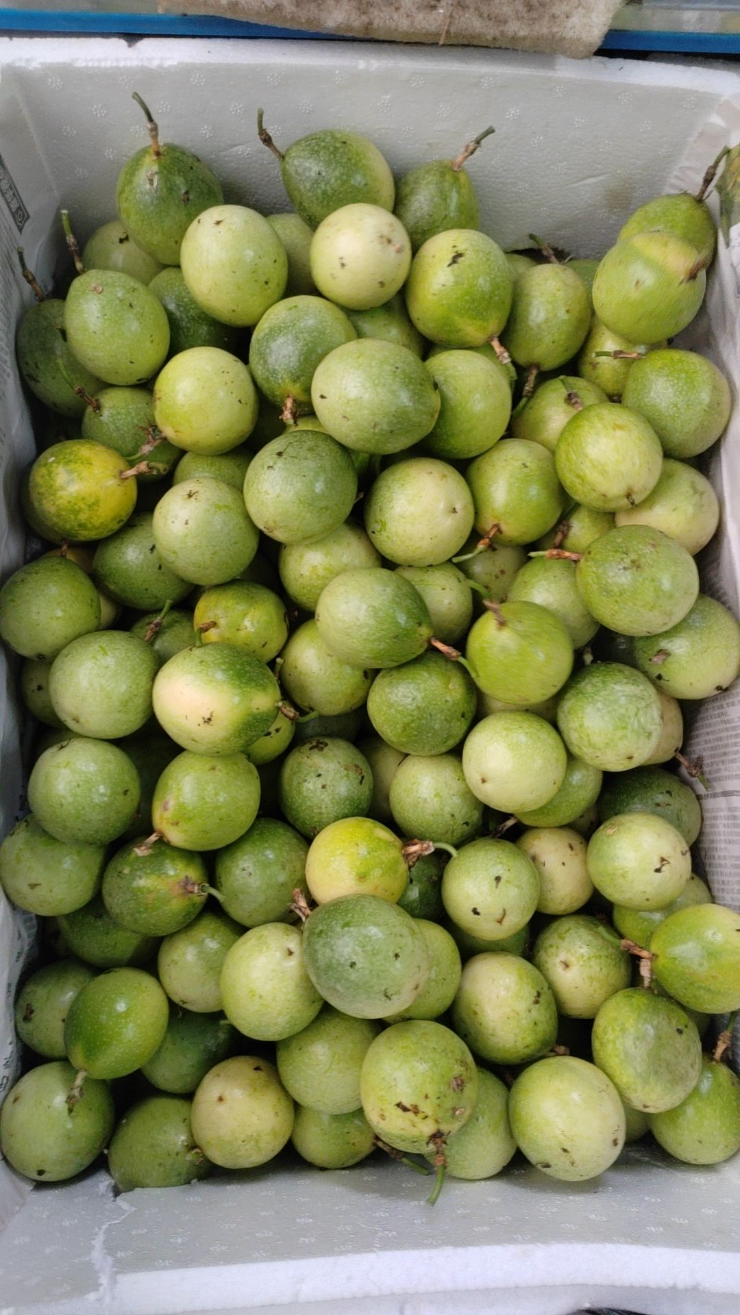 钦蜜九号黄金百香果