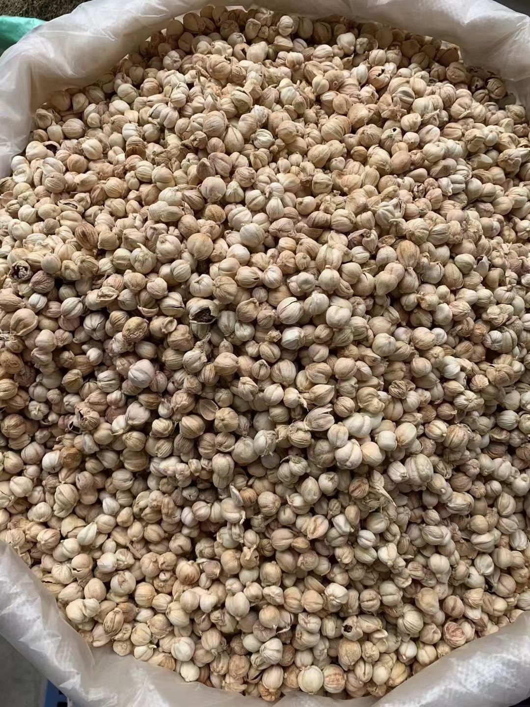 白豆蔻精选白蔻香料全干无硫炒菜调料火锅烧烤卤料产地直供批发