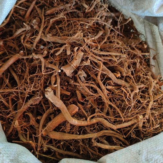 玉林雾水葛根 雾水葛 糯米草 拔脓膏 拔脓草 正品根干品无硫