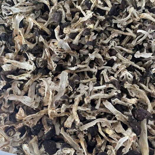 思茅云南大球蓋菇_帶皮小菇_干貨