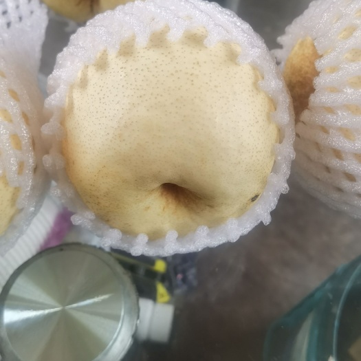 西安陕西酥梨  皮薄   汁水足  脆甜