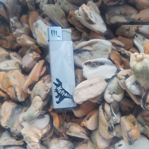 日照大家好我是山东日照的贻贝加工厂，存有大量贻贝出售。需要的老