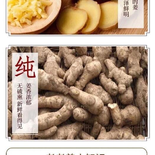 德化县德化乡下农民伯伯家的生姜