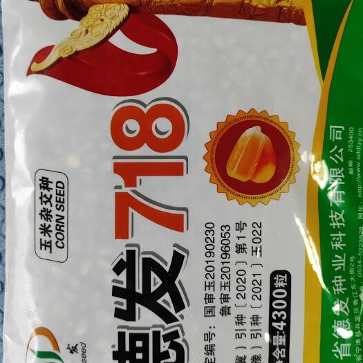 鄄城县德发718玉米种子