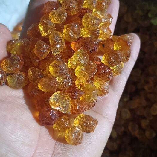 枣阳市精修颗粒桃胶 产地直发