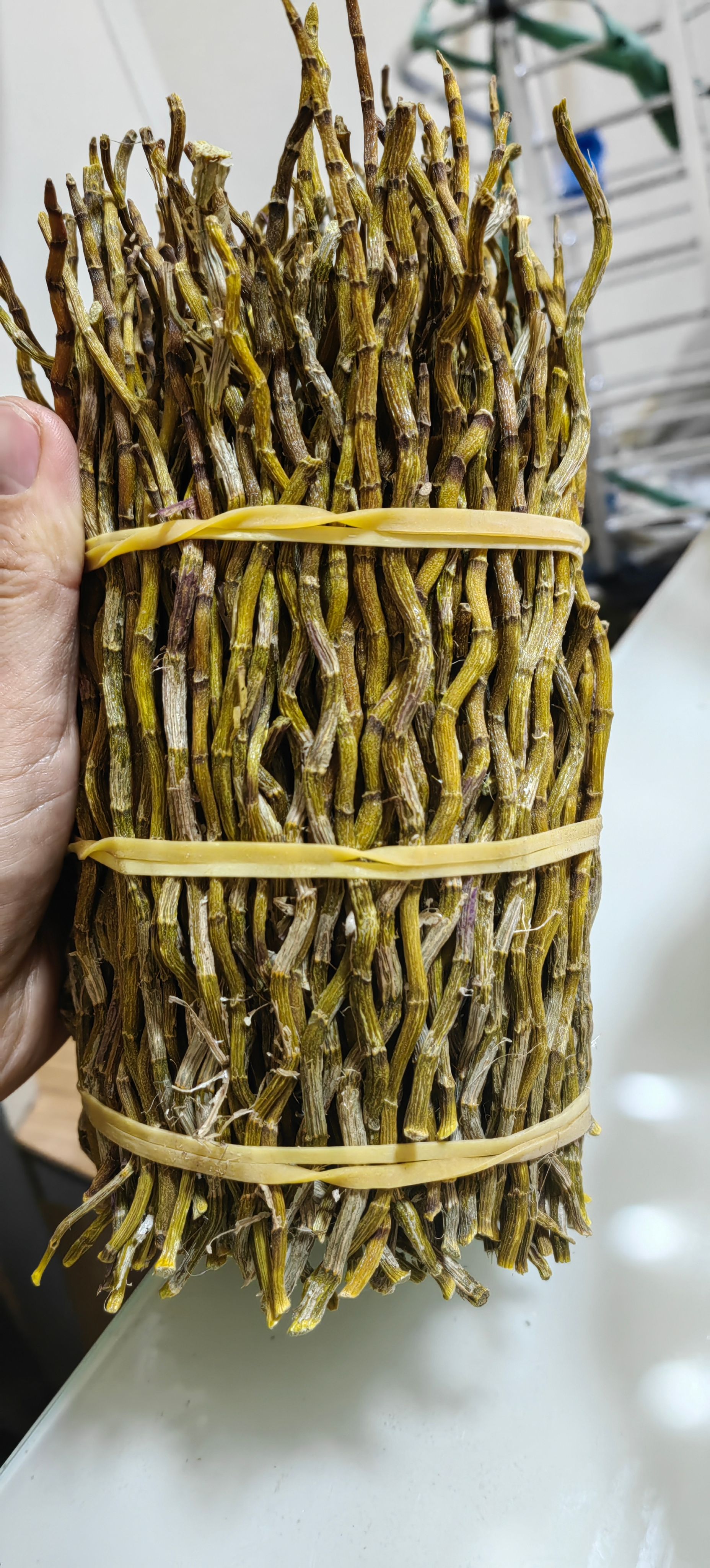 铁皮铁皮石斛寸条 烤条 牙牙条 自产自销  基地直发