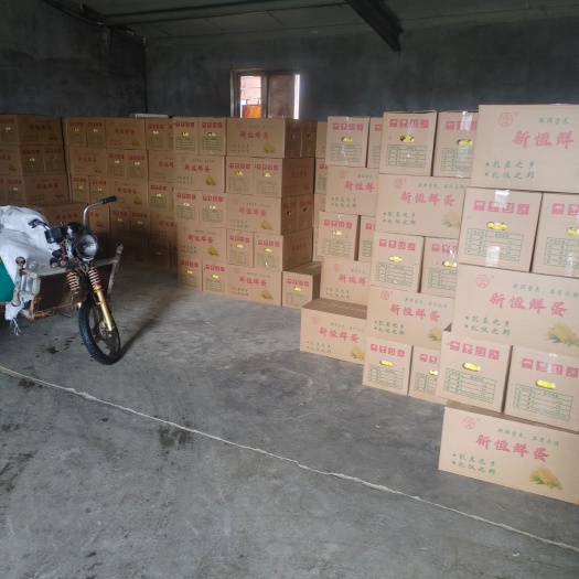 泗水县益农土鸡蛋批发产地直供，高端品质