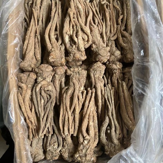岷县甘肃岷县  掐尾当归  无硫  微硫/有硫