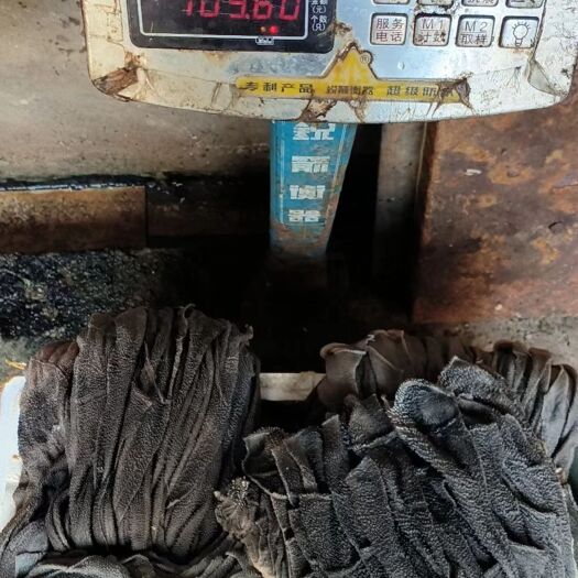 鄱阳县新鲜的鄱阳湖牛百叶牛油。