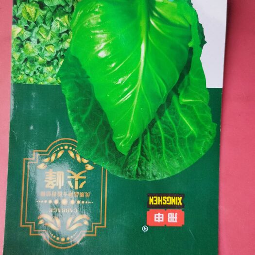 牛心甘蓝种子尖产量高个头均匀适合露天越冬种植