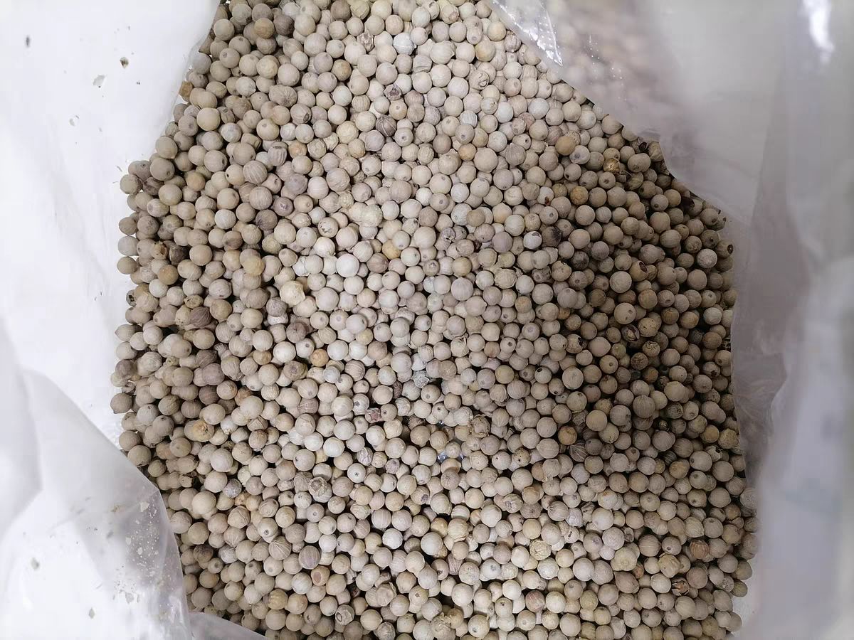 正品海南胡椒粒特好产干货手选胡椒精选商食用调味卤料胡椒粉批发