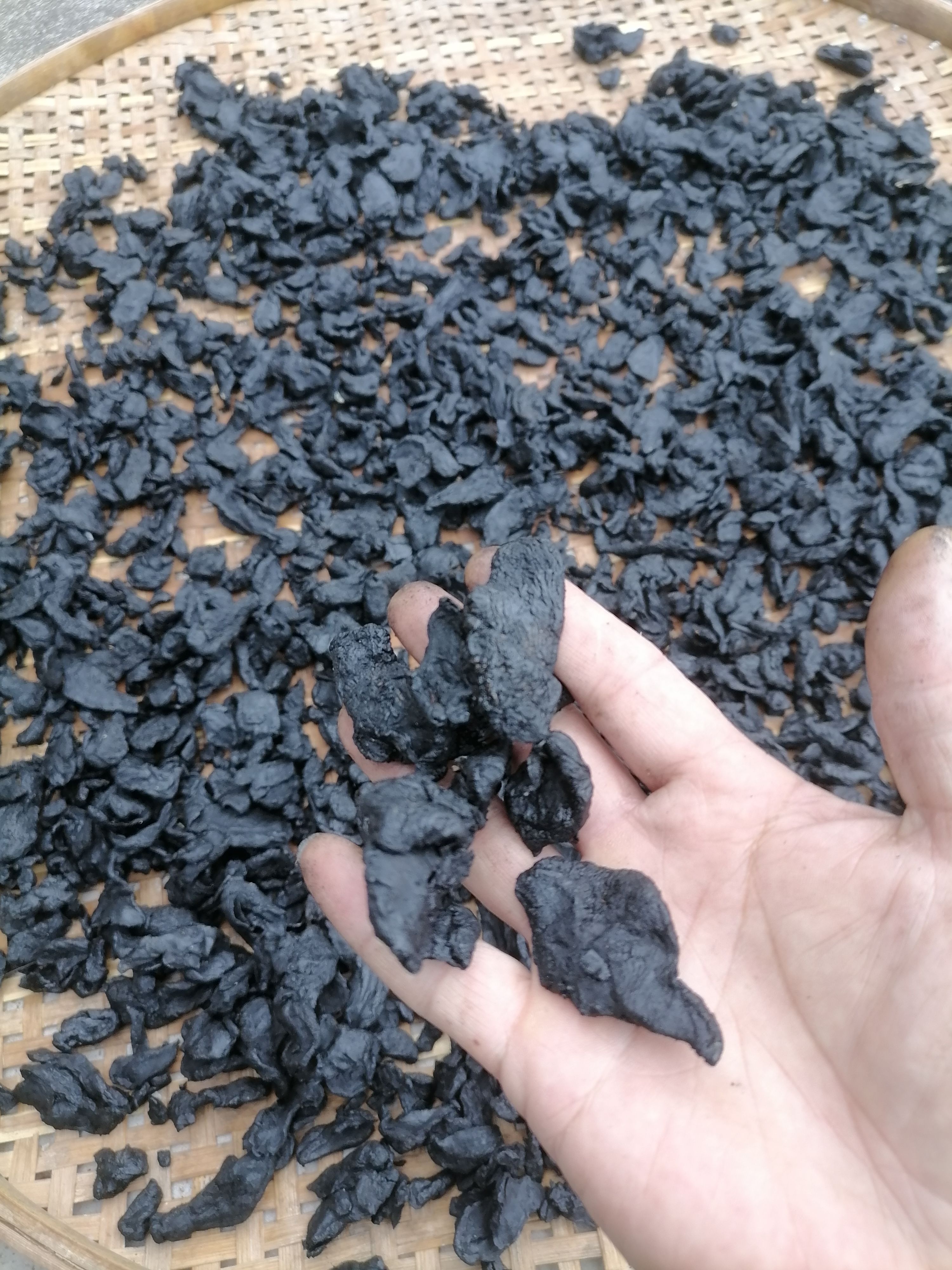 支持一件起批！5斤，可以干吃的黄精，九蒸九晒的黄精囗感糯香