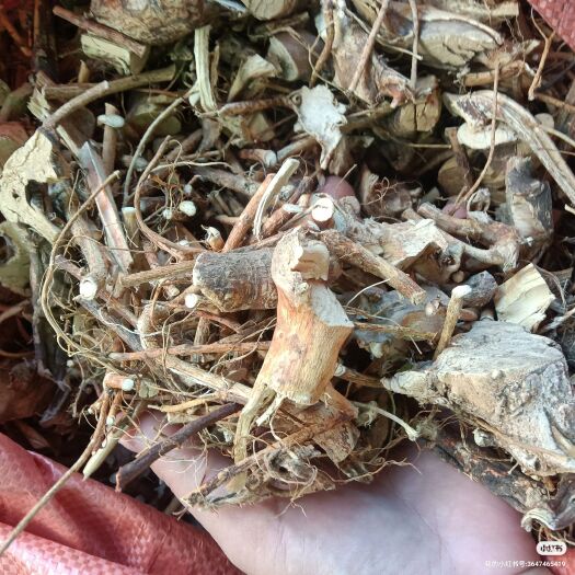 梧州五指毛桃，干货，切断
