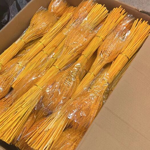 黄金大麦