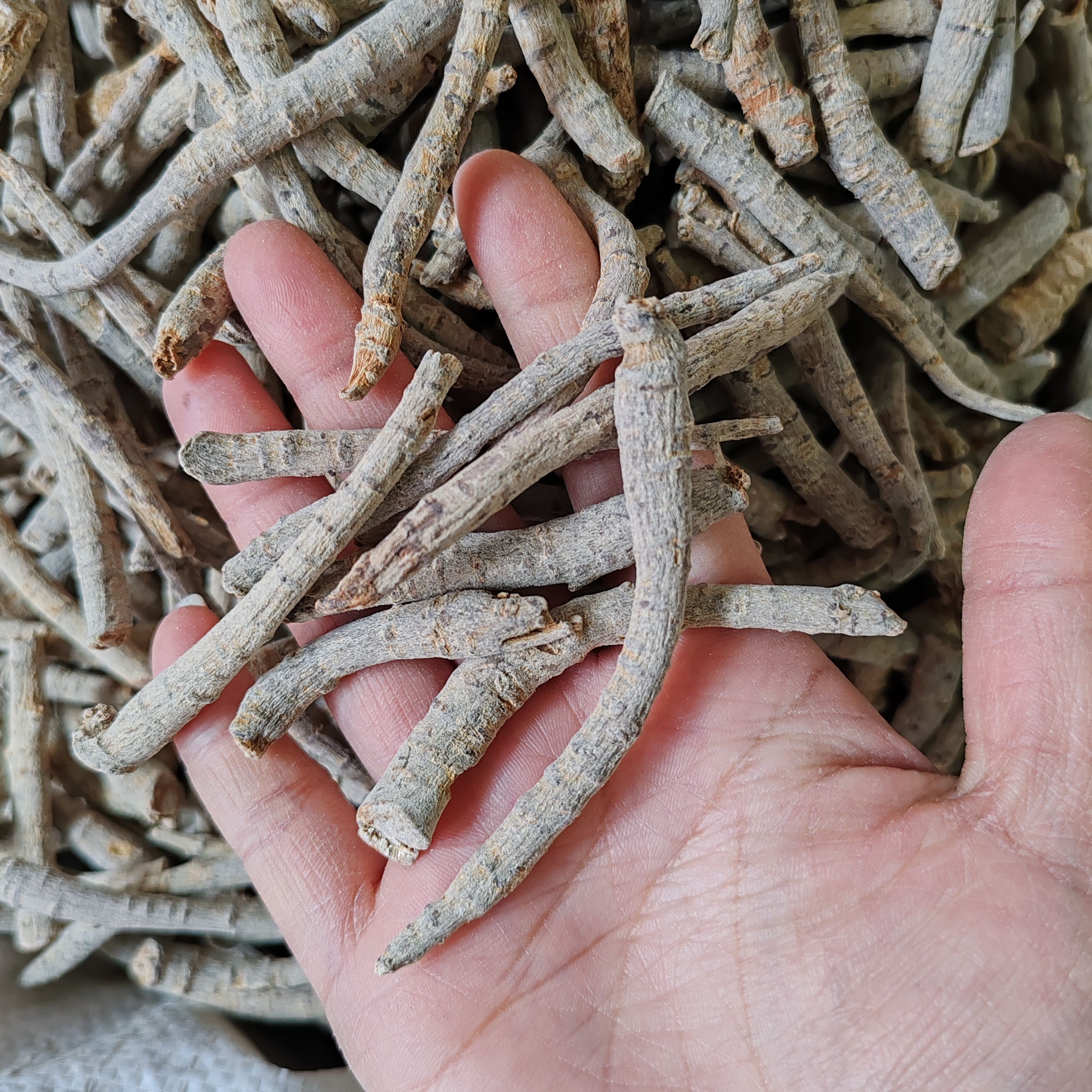 三七根条500克包邮田七三七干货云南三七根条剪碎煮汤