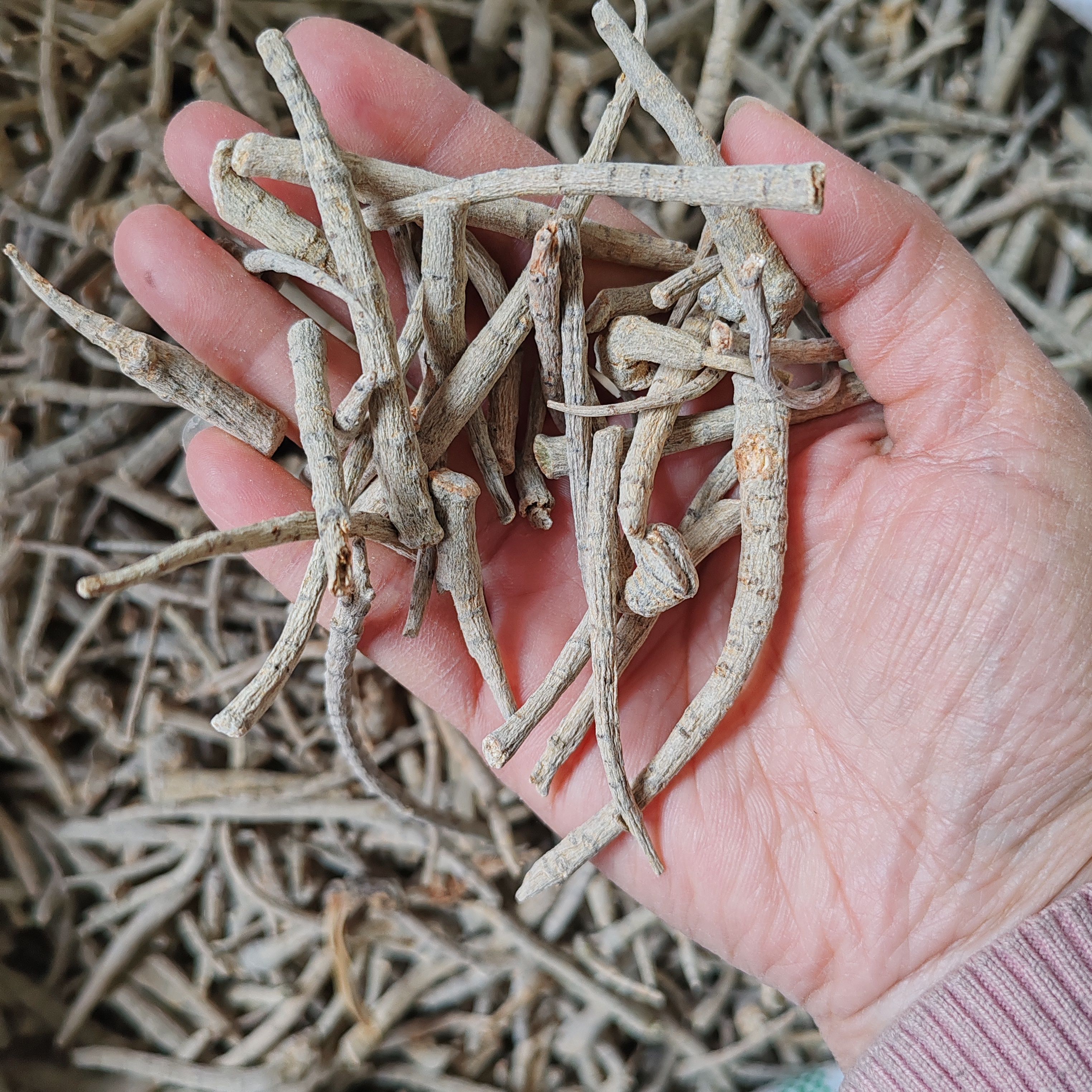 三七根条500克包邮田七三七干货云南三七根条剪碎煮汤