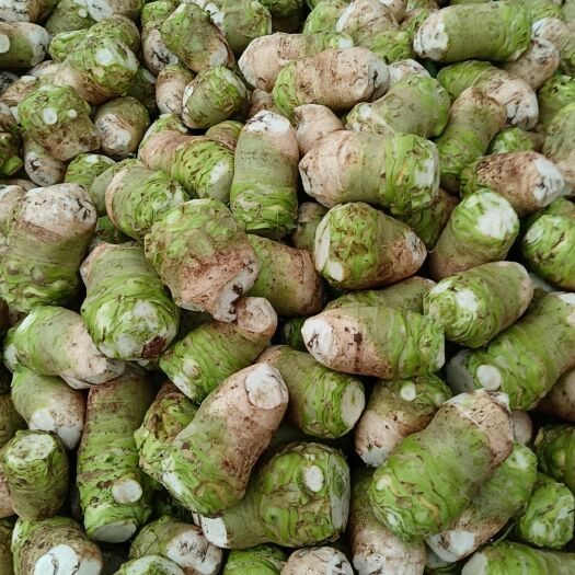 简阳市大头菜与辣椒
