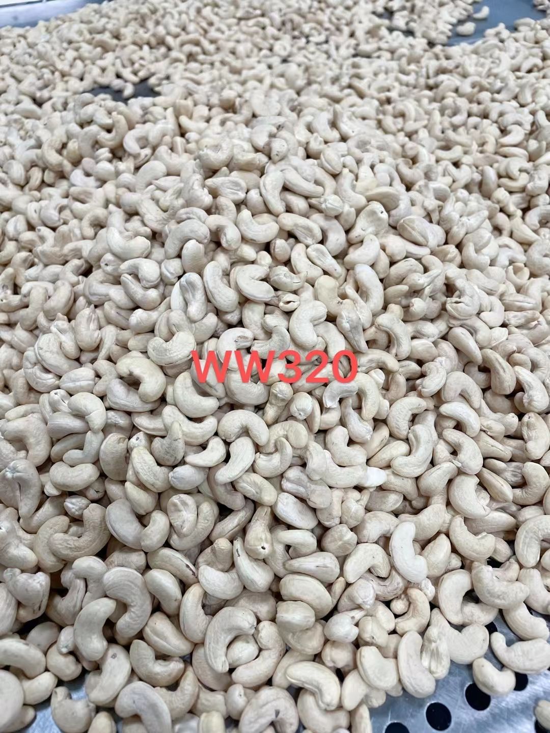 越南腰果仁炭烧烘烤盐焗原味带衣紫衣带皮每日坚果炒货一件代发